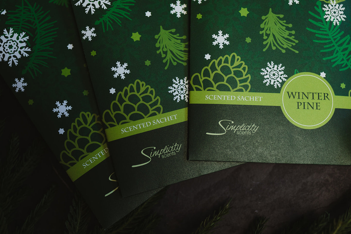 Winter Pine - 6-Pack